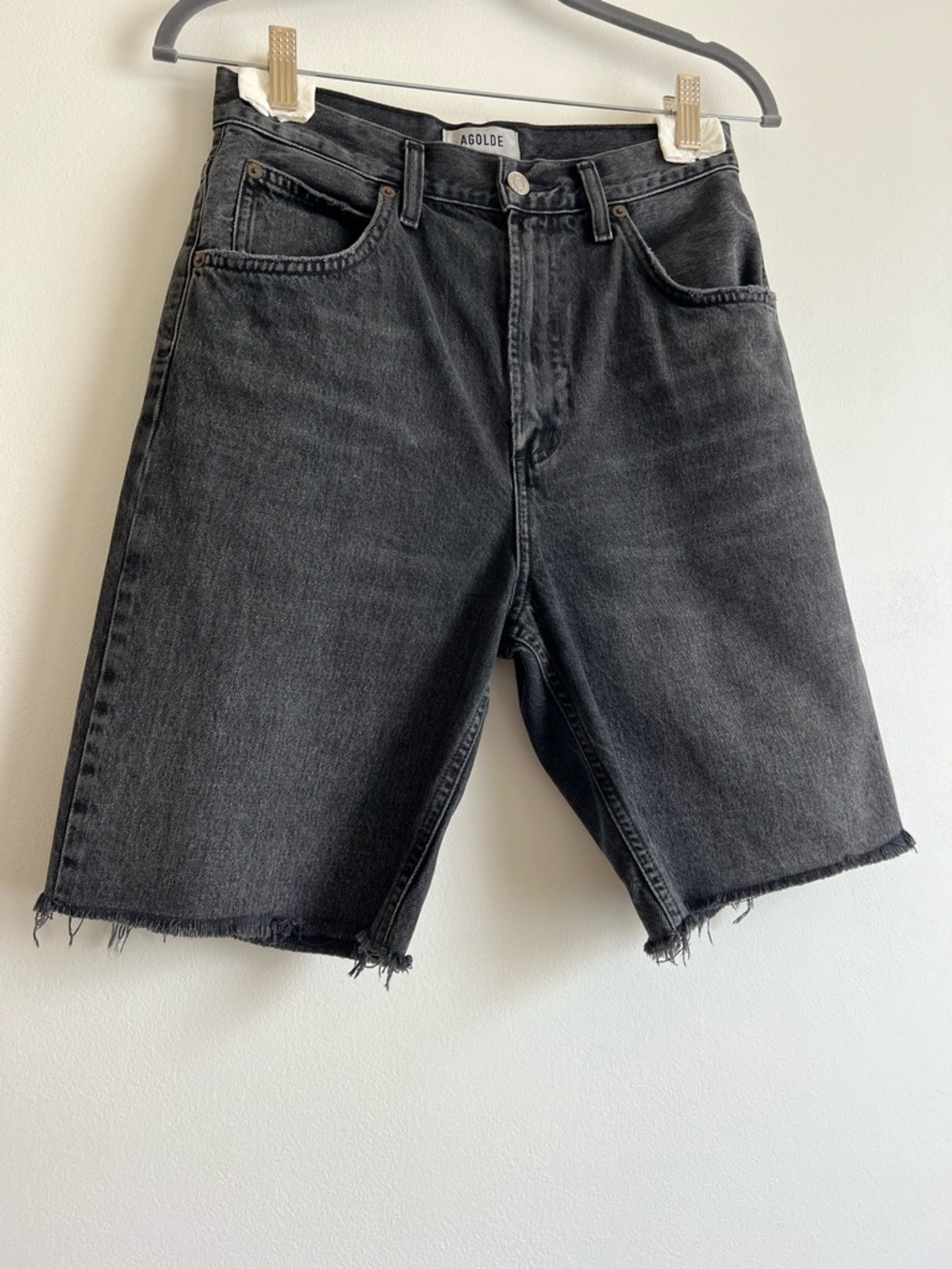 RESERVED Agolde Pinch Waist Short in Paranormal - Picture 6 of 14
